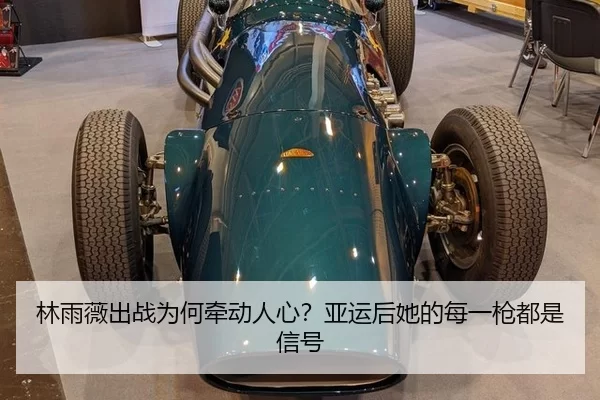 lin-yu-wei-chu-zhan-wei-he-qian-dong-ren-xin-ya-yun-hou-ta-de-mei-yi-qiang-dou-shi-xin-hao-2-421.jpg